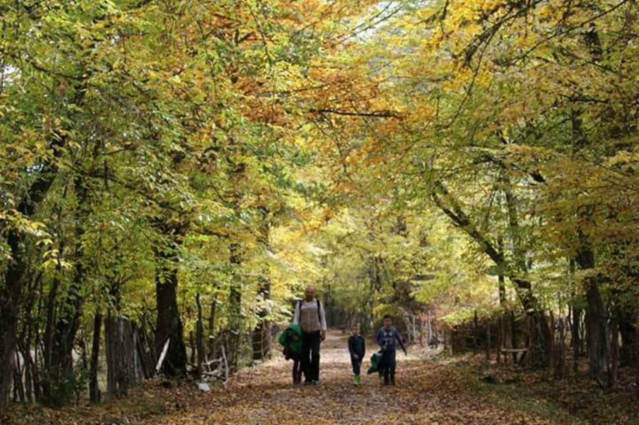 Seoski Turizam Zilicina Rogatica Exterior foto